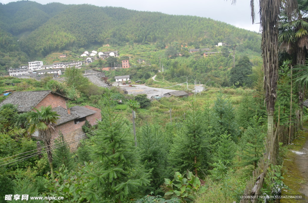 乡村风景