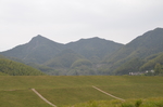 乡村景色