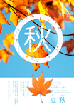 立秋