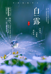 白露