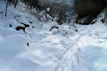 雪景背景