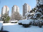 雪景背景
