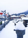 雪乡美景