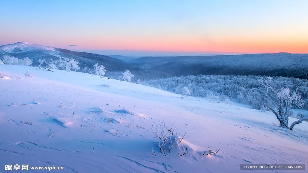 雪龙山之晨