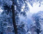 张家界雪景