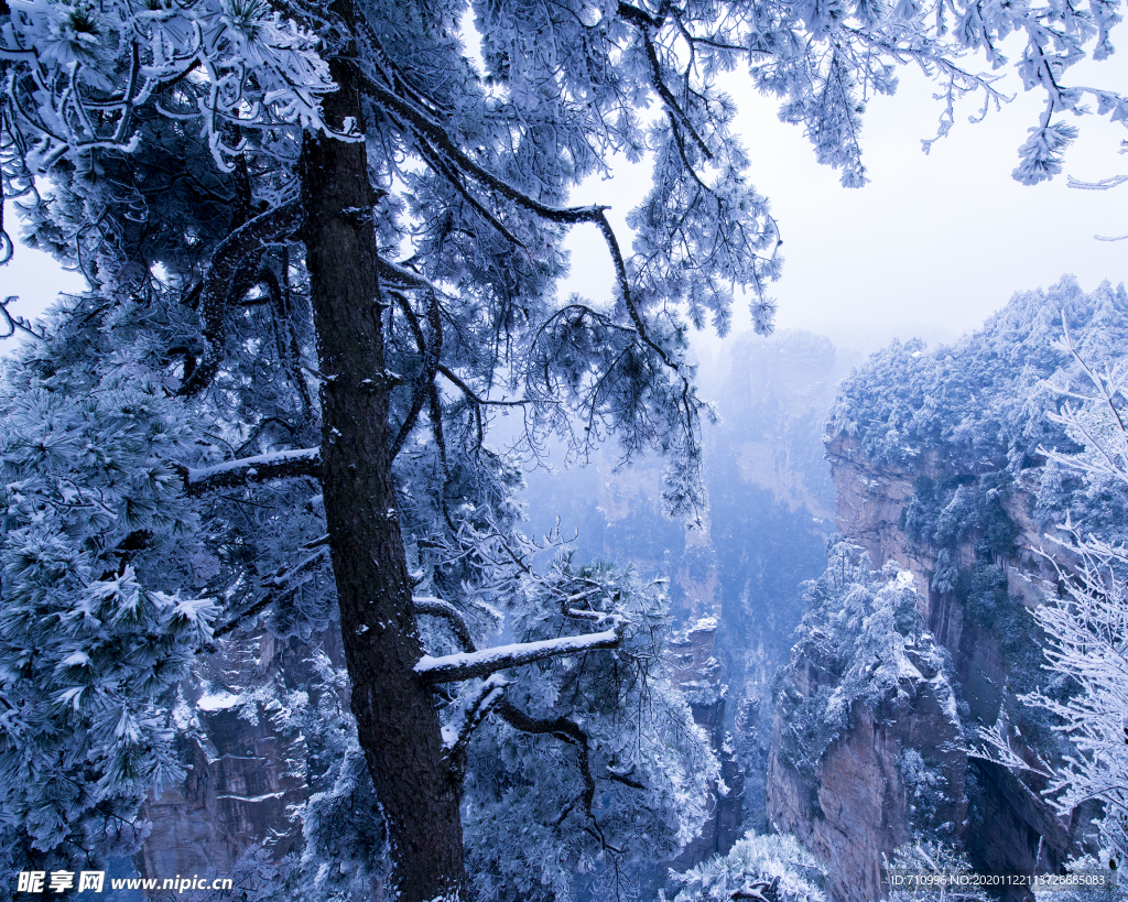 张家界雪景