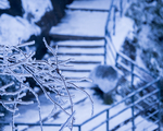张家界雪景