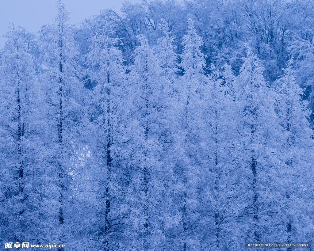 张家界雪景