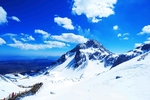 雪景