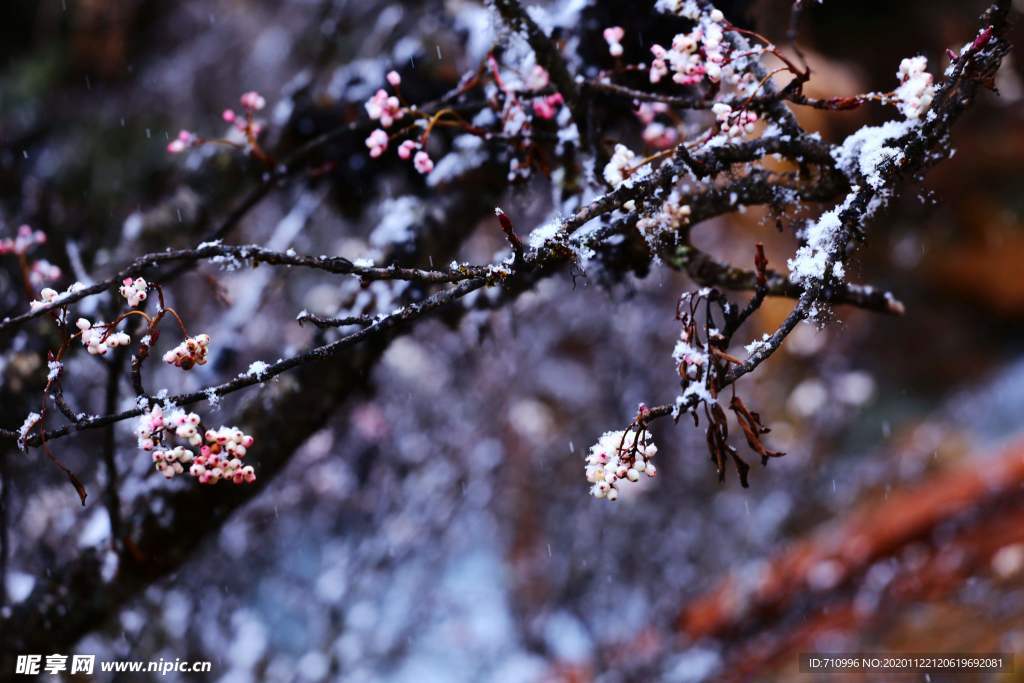 雪中毕棚沟