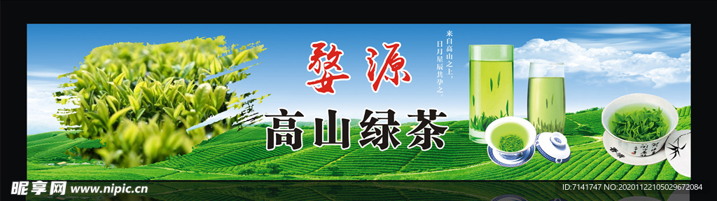 茶叶  高山茶