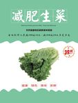 生菜海报