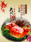 大闸蟹美食彩页