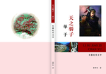 天之骄子单于 封面
