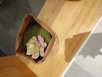 花瓶