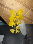 花瓶