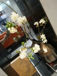 花瓶 花