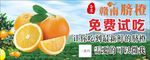 赣南脐橙