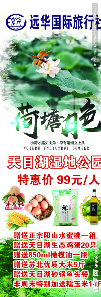 远华国际旅行社