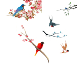 中国风花鸟素材