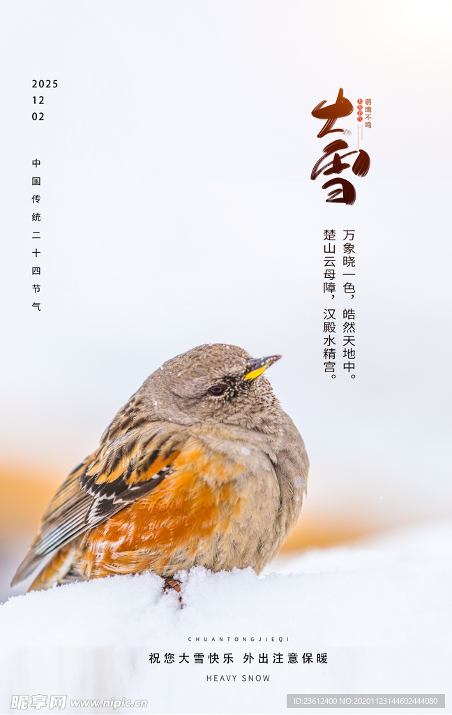 大雪节气海报