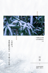 大雪节气海报