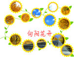 文化墙