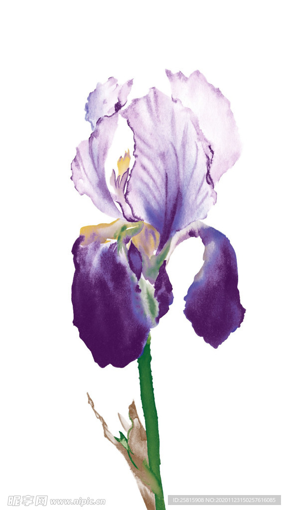 水墨花草