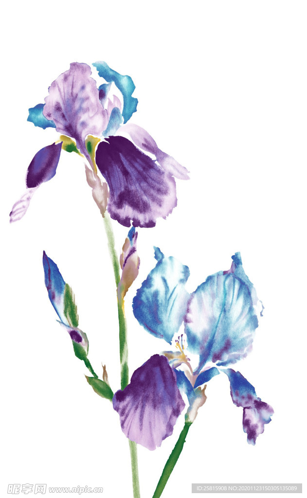 水墨花草