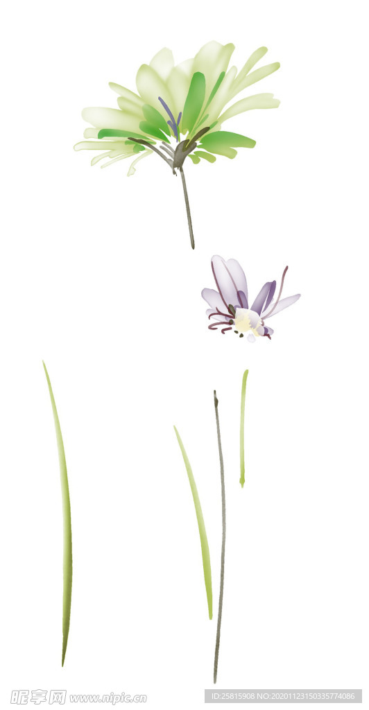 水墨花草