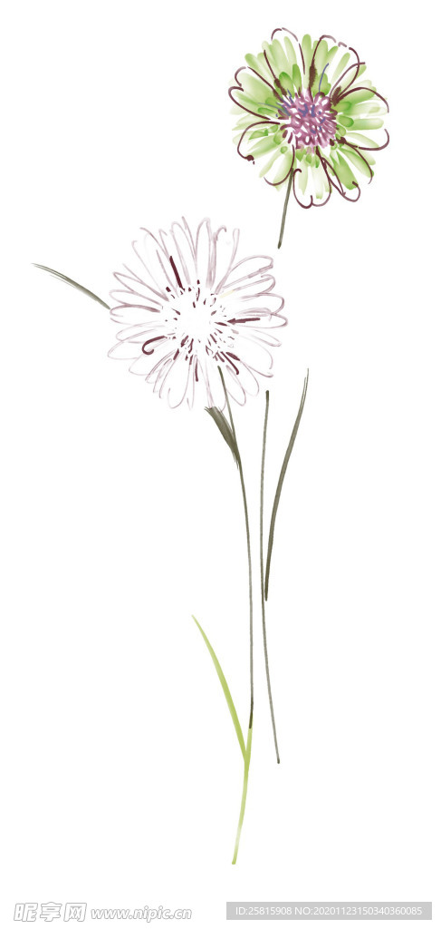 水墨花草
