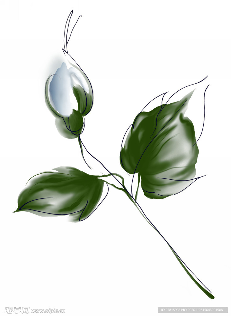 水墨花草