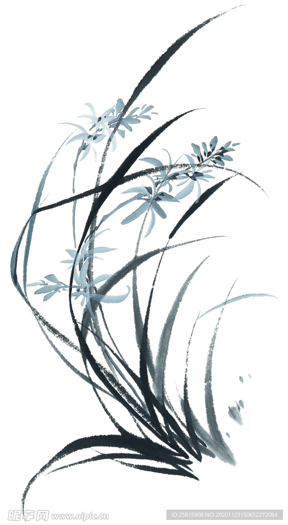 水墨花卉