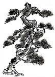 水墨古树