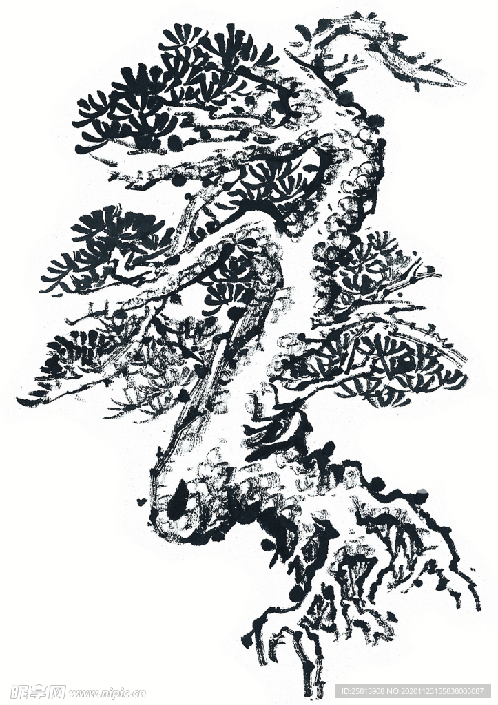 青松