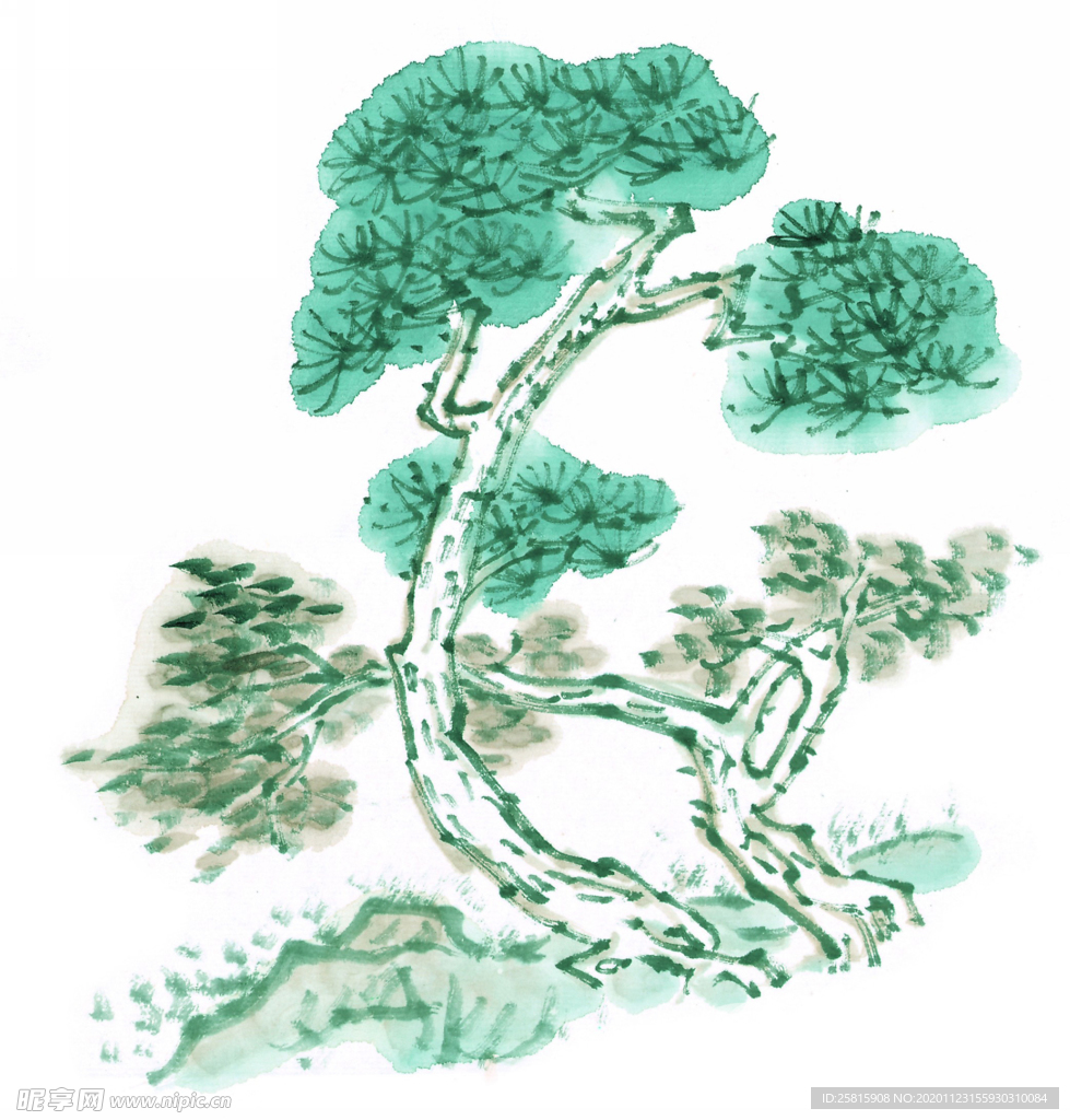 青松