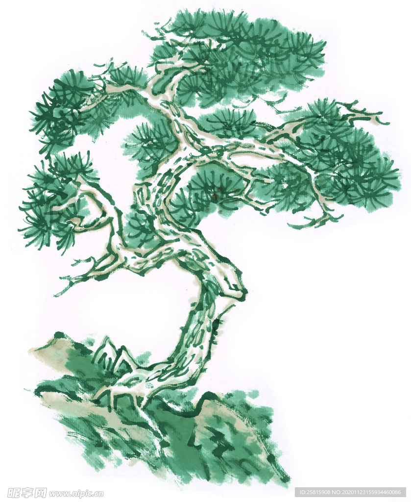 青松