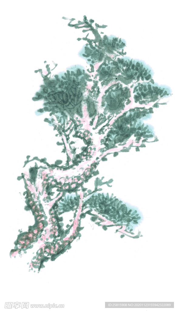 青松
