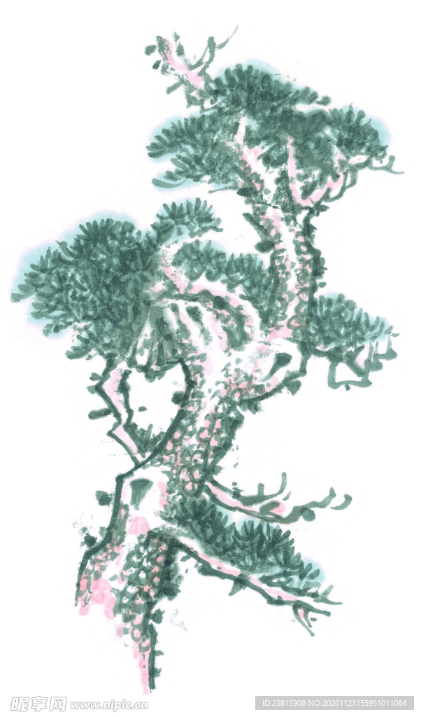 青松