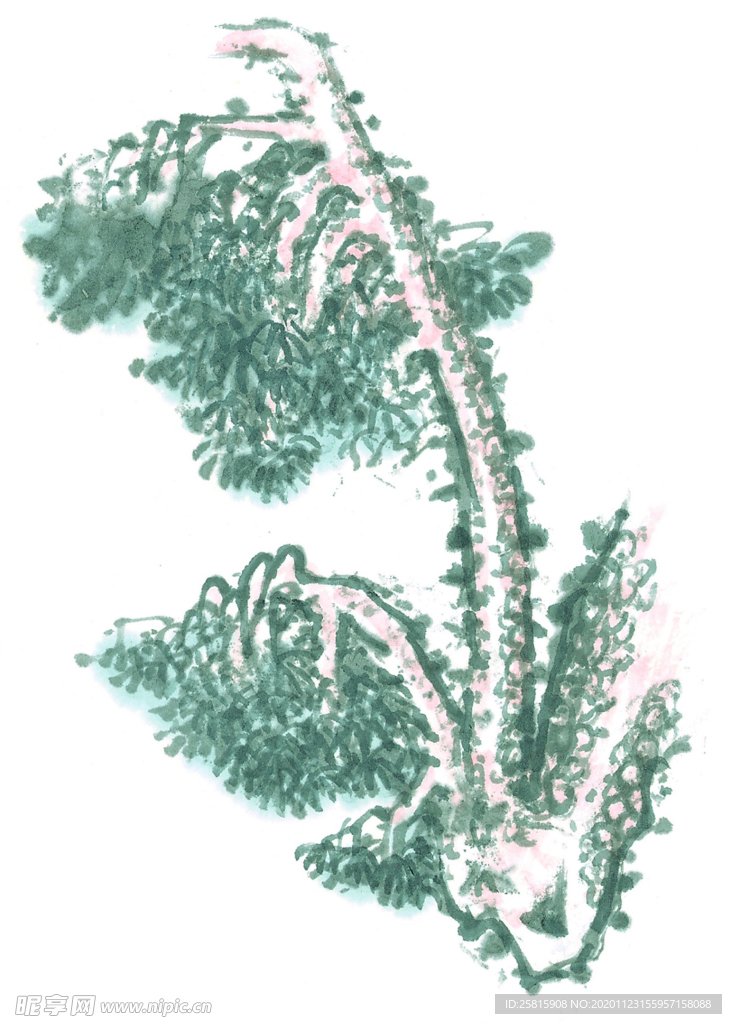 松树