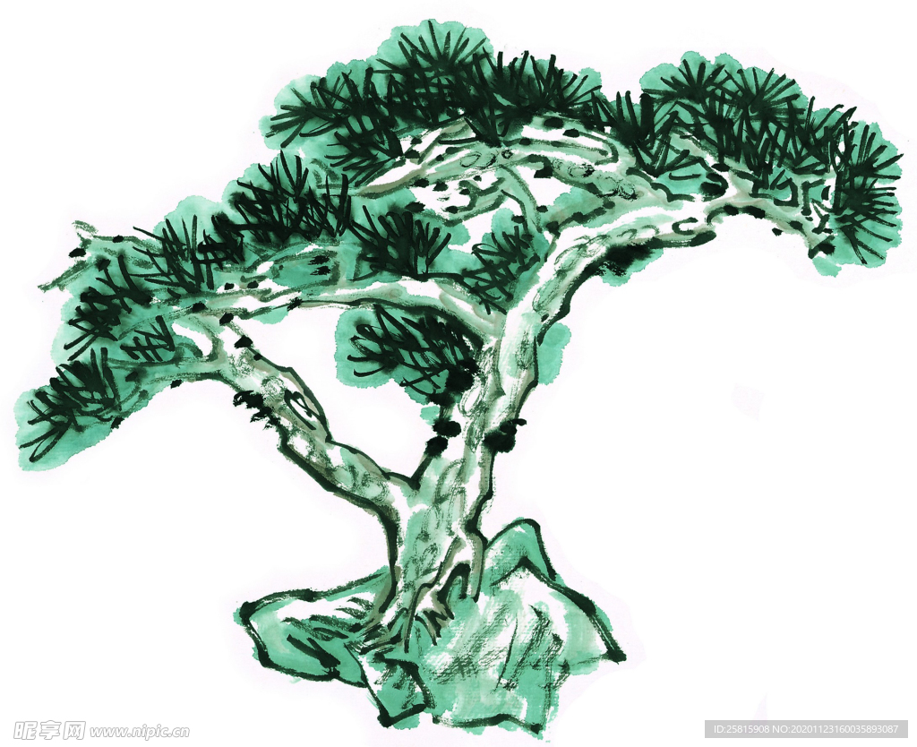 松树
