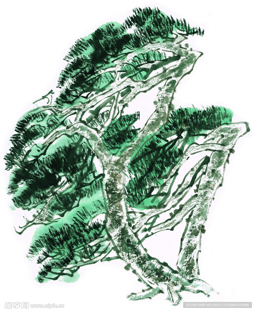 松树