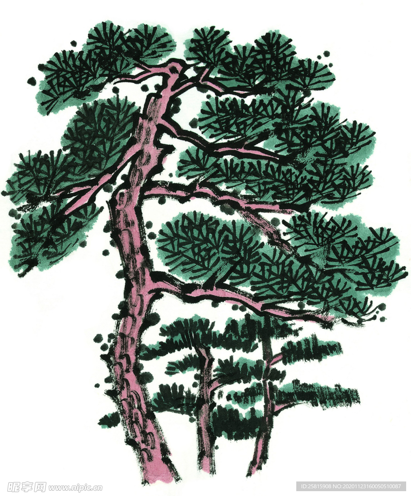 松树