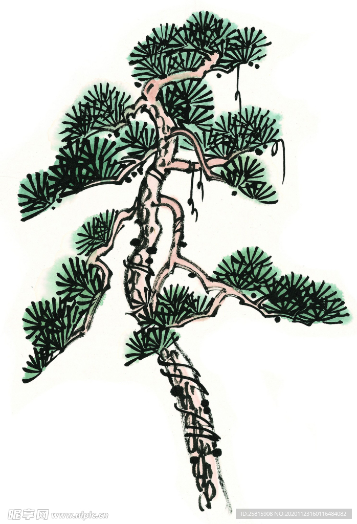 松树