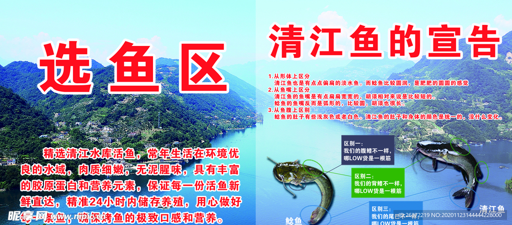 清江鱼海报