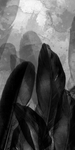 玄关画