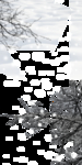 玄关画