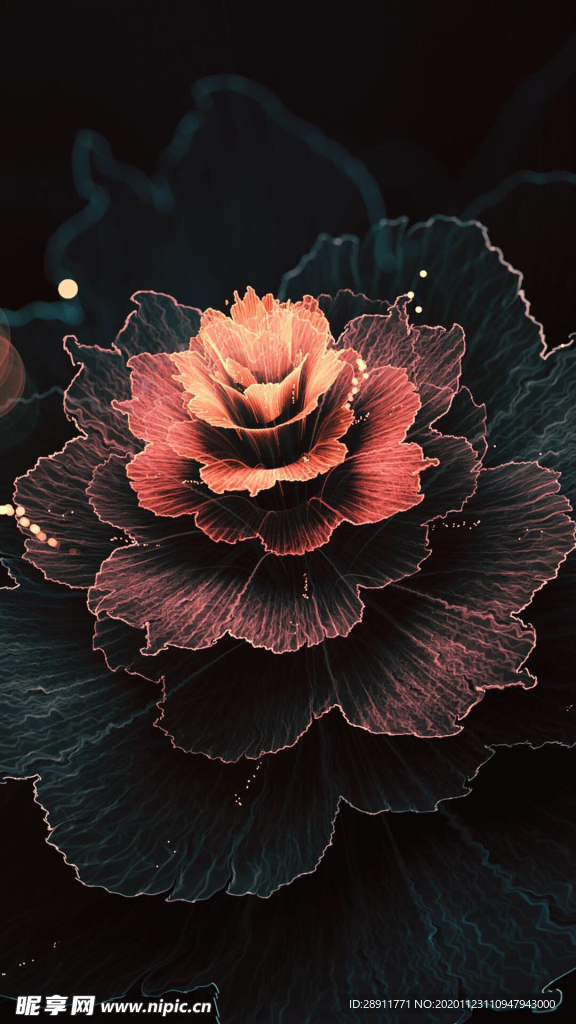 绽放 花