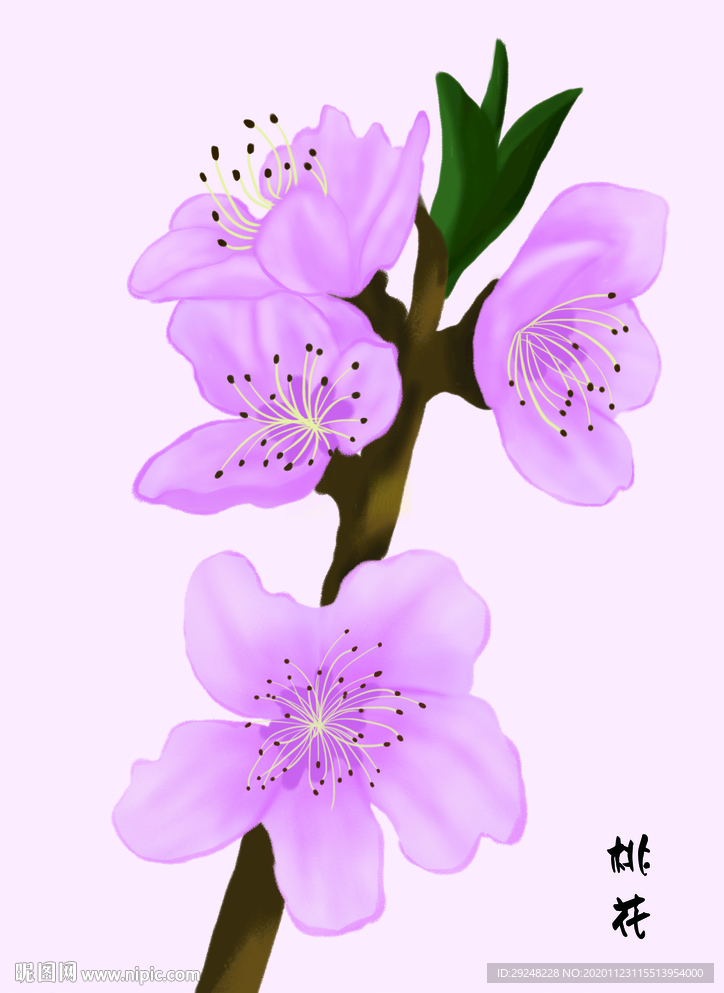 桃花