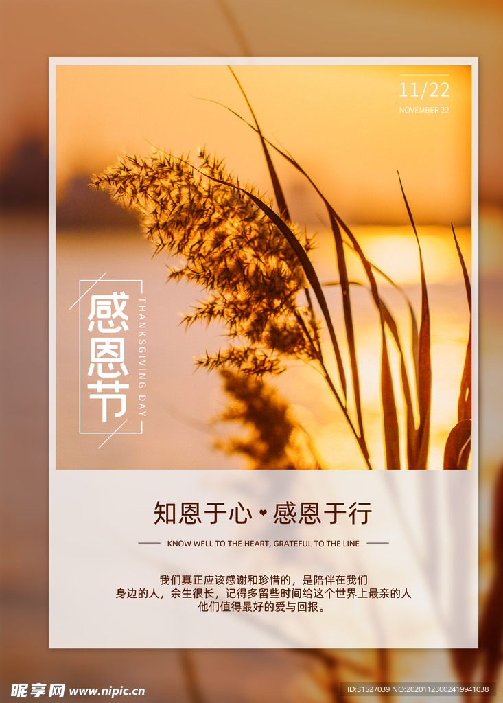 感恩节海报黄底
